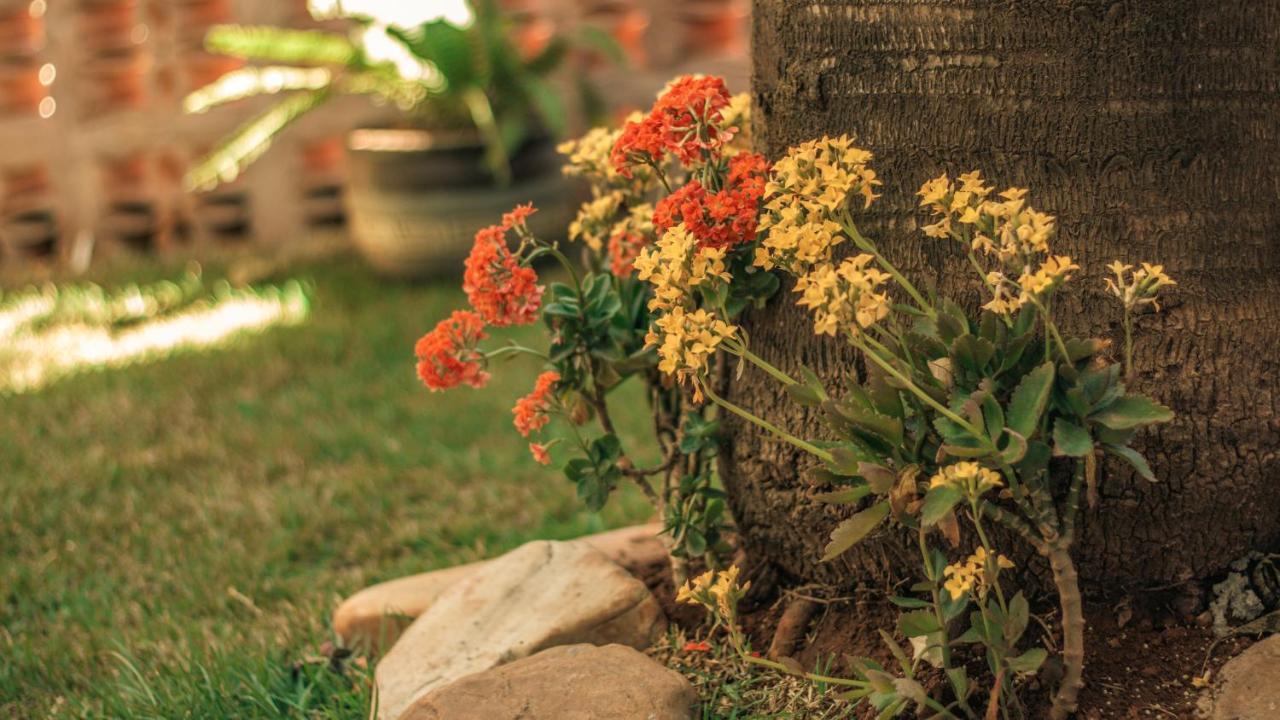 Chales Terraviva Pirenopolis Ngoại thất bức ảnh